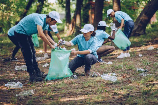 Park Cleanup